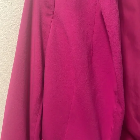 A Pink Blazer by The Limited! - Picture 4 of 16